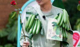 邓伦金晨吃瓜爆料,娱乐圈新恋情瓜料来袭